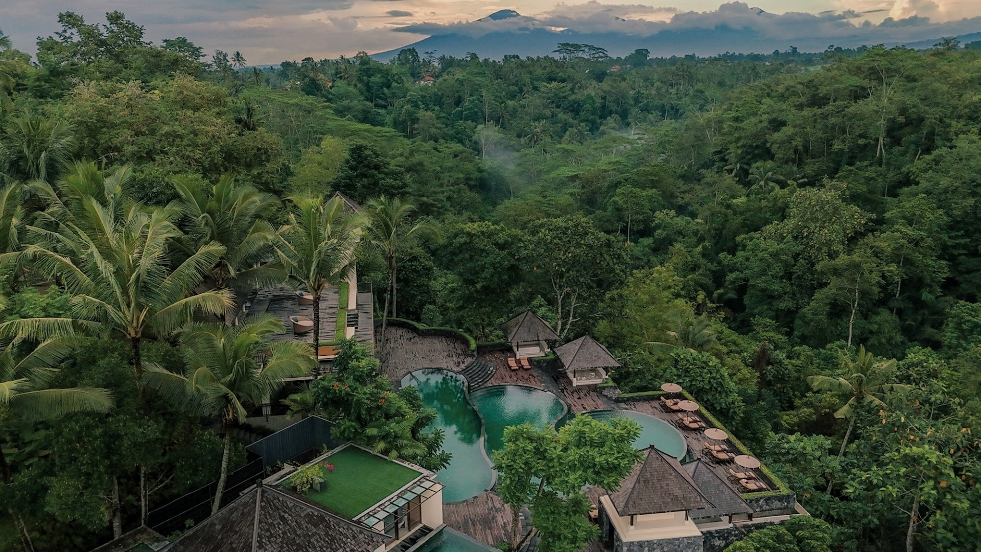 Komaneka at Bisma, Ubud: la terraza infinita sobre los arrozales que nadie espera encontrar