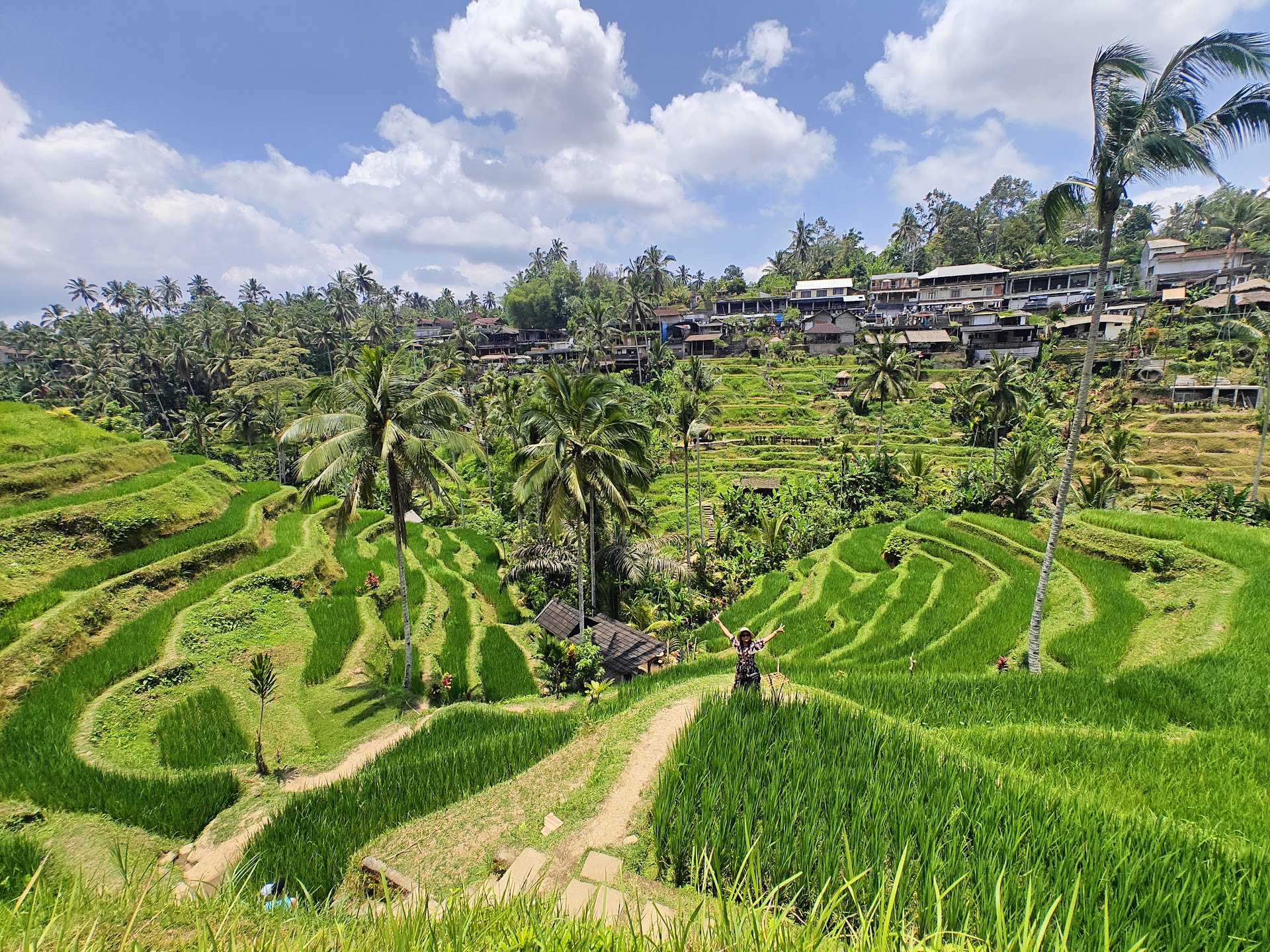 Komaneka at Bisma, Ubud: la terraza infinita sobre los arrozales que nadie espera encontrar