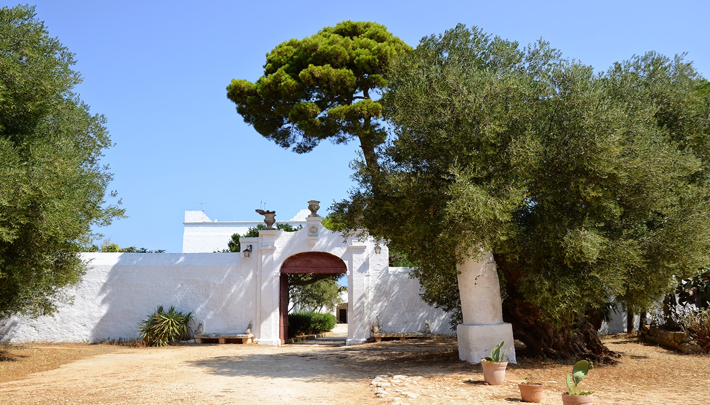 Masseria Il Frantoio, Ostuni: una noche entre olivos centenarios cuando el sol baja sobre la Puglia blanca