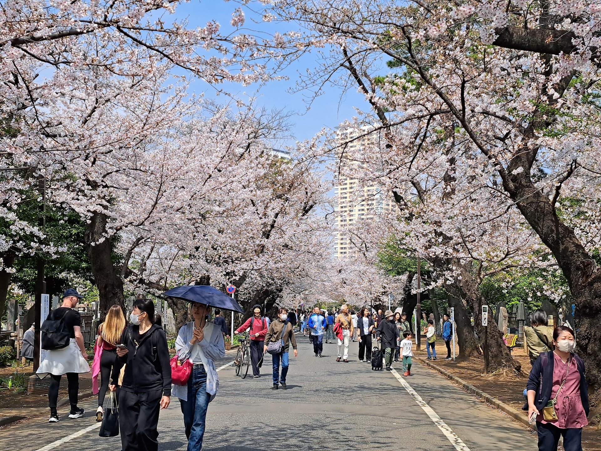 El hotel de Tokio escondido en el barrio que los turistas nunca encuentran
